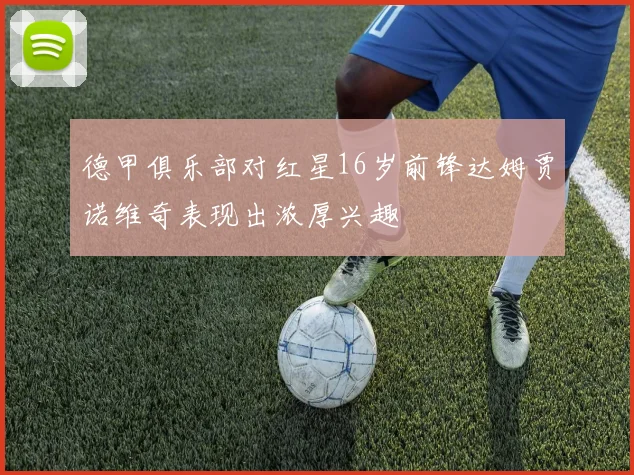 德甲俱乐部对红星16岁前锋达姆贾诺维奇表现出浓厚兴趣