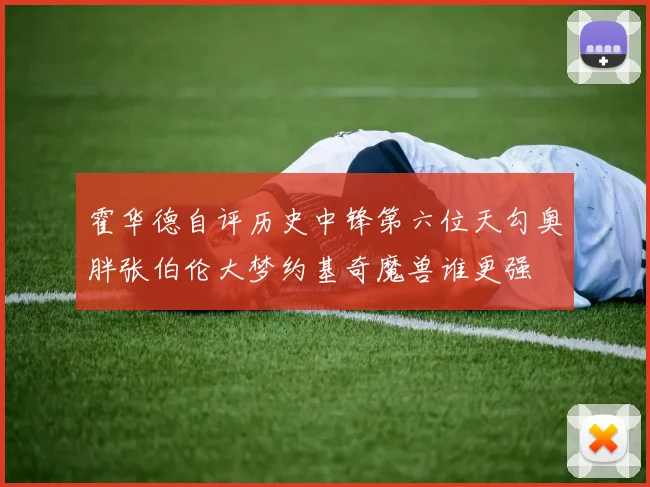 霍华德自评历史中锋第六位天勾奥胖张伯伦大梦约基奇魔兽谁更强